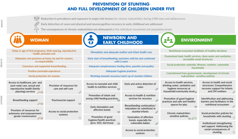 Chronic malnutrition action framework