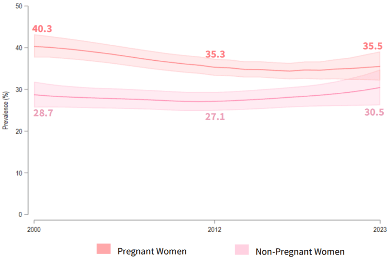 Anemia in pregnant women and women of reproductive age