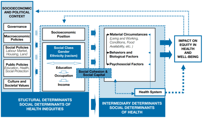 Commission on Social Determinants of Health Conceptual Framework