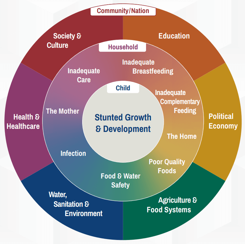 Conceptual framework - Causes of stunted growth and development