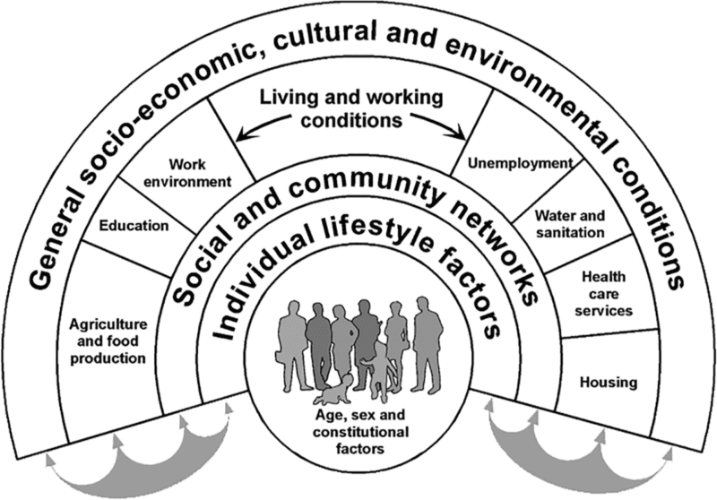 Dahlgren and Whitehead - Main determinants of health