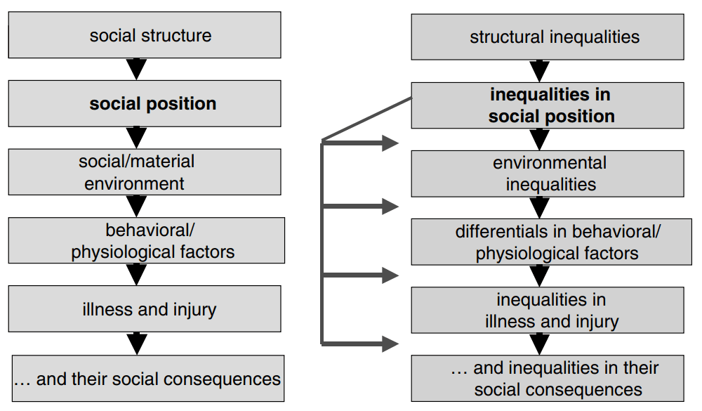 Graham 2004 - Social determinants of health and social determinants of health inequalities